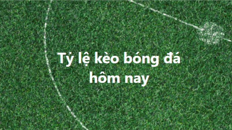 Kèo nhà cái trực tuyến